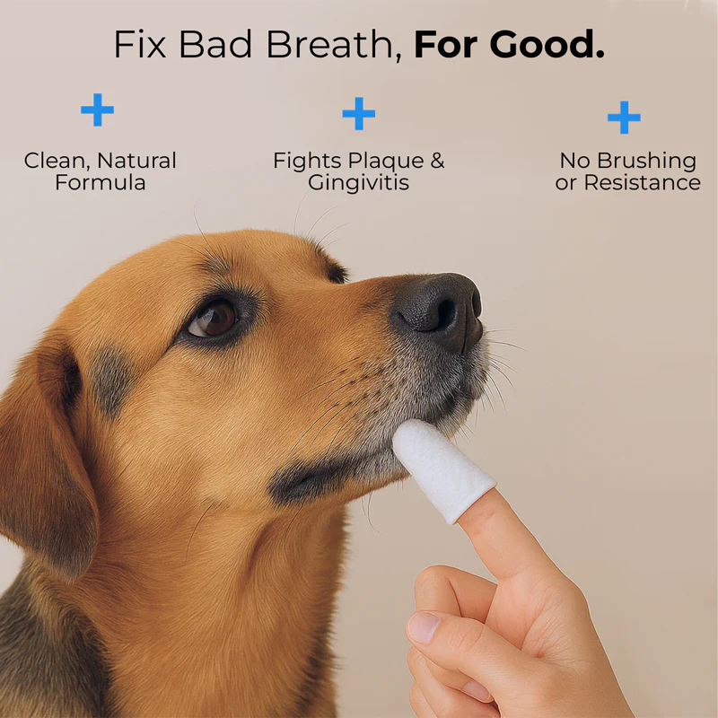 ODALIT™ Pet Dental Wipes (50 Count) — Stop Bad Breath & Protect Your Pet’s Smile in 30 Seconds