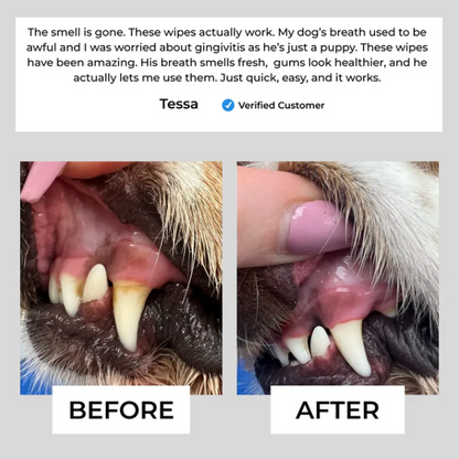 ODALIT™ Pet Dental Wipes (50 Count) — Stop Bad Breath & Protect Your Pet’s Smile in 30 Seconds