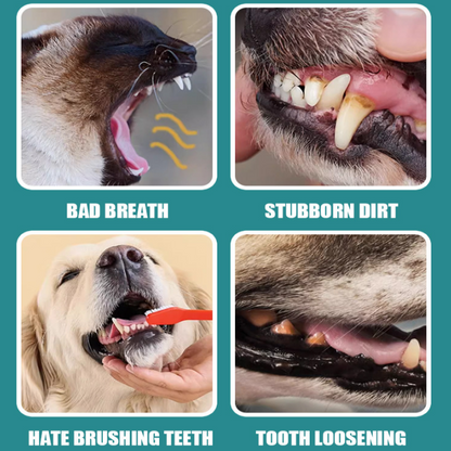 ODALIT™ Pet Dental Wipes (50 Count) — Stop Bad Breath & Protect Your Pet’s Smile in 30 Seconds