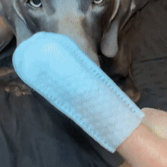 ODALIT™ Pet Dental Wipes (50 Count) — Stop Bad Breath & Protect Your Pet’s Smile in 30 Seconds